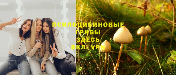 МДПВ Усинск